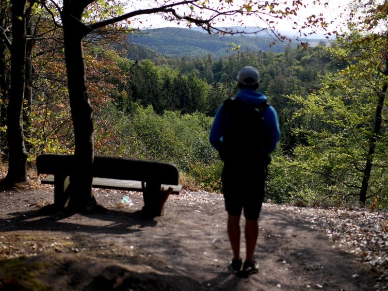 Thüringer-Wald