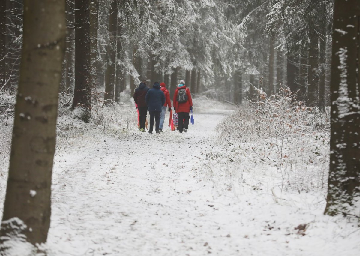 Thüringer-Wald-Schnee