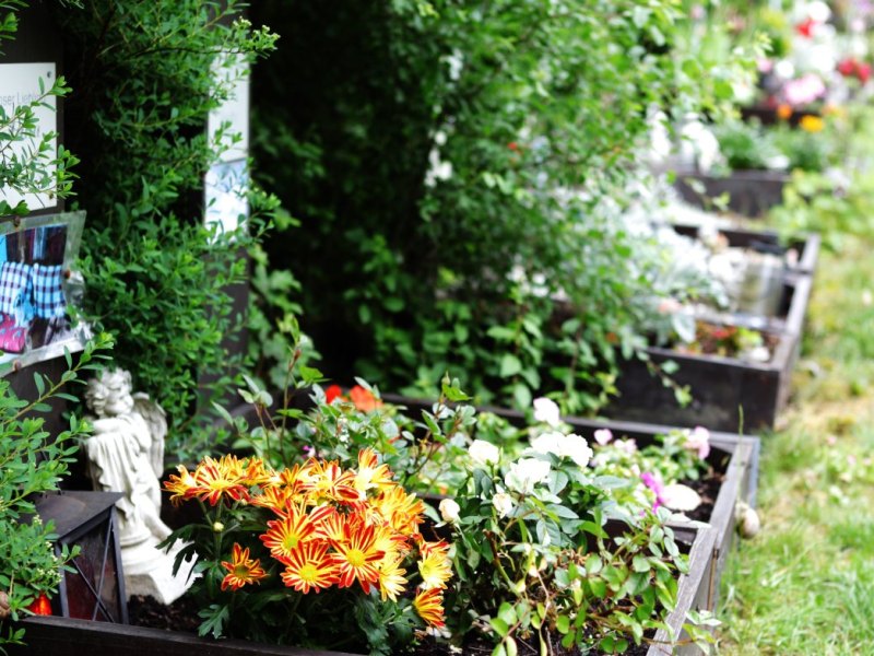 Tierfriedhof.jpg