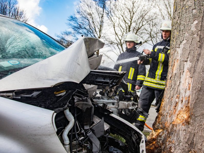 Unfall_Baum