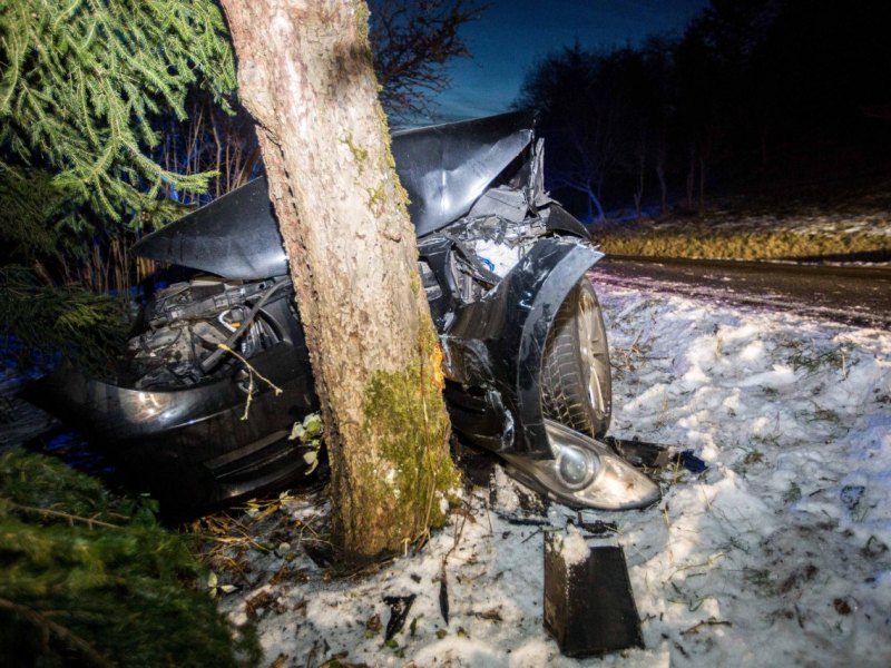Unfall_Baum