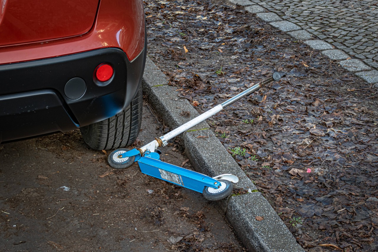 Eine Autofahrerin übersah beim Anfahren den kleinen Verkehrsteilnehmer. (Archivbild)