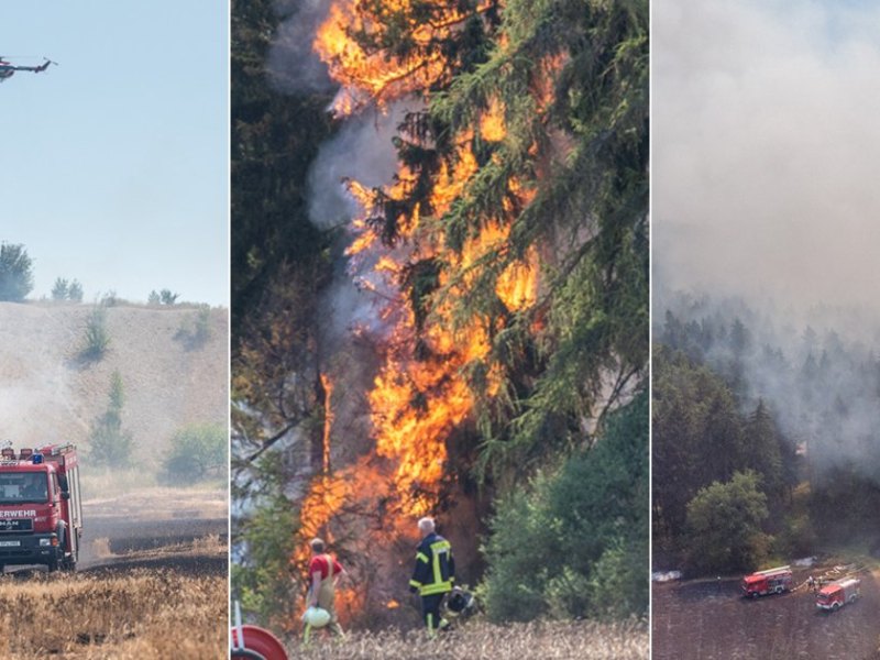 Waldbrand im Weimarer Land