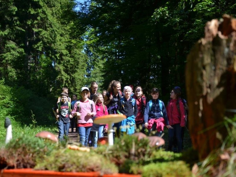 Waldjugendspiele Thüringen