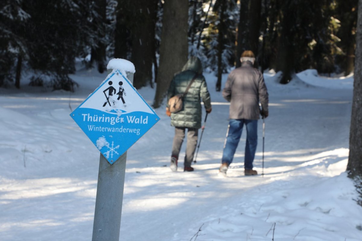 Wandern Thüringer Wald