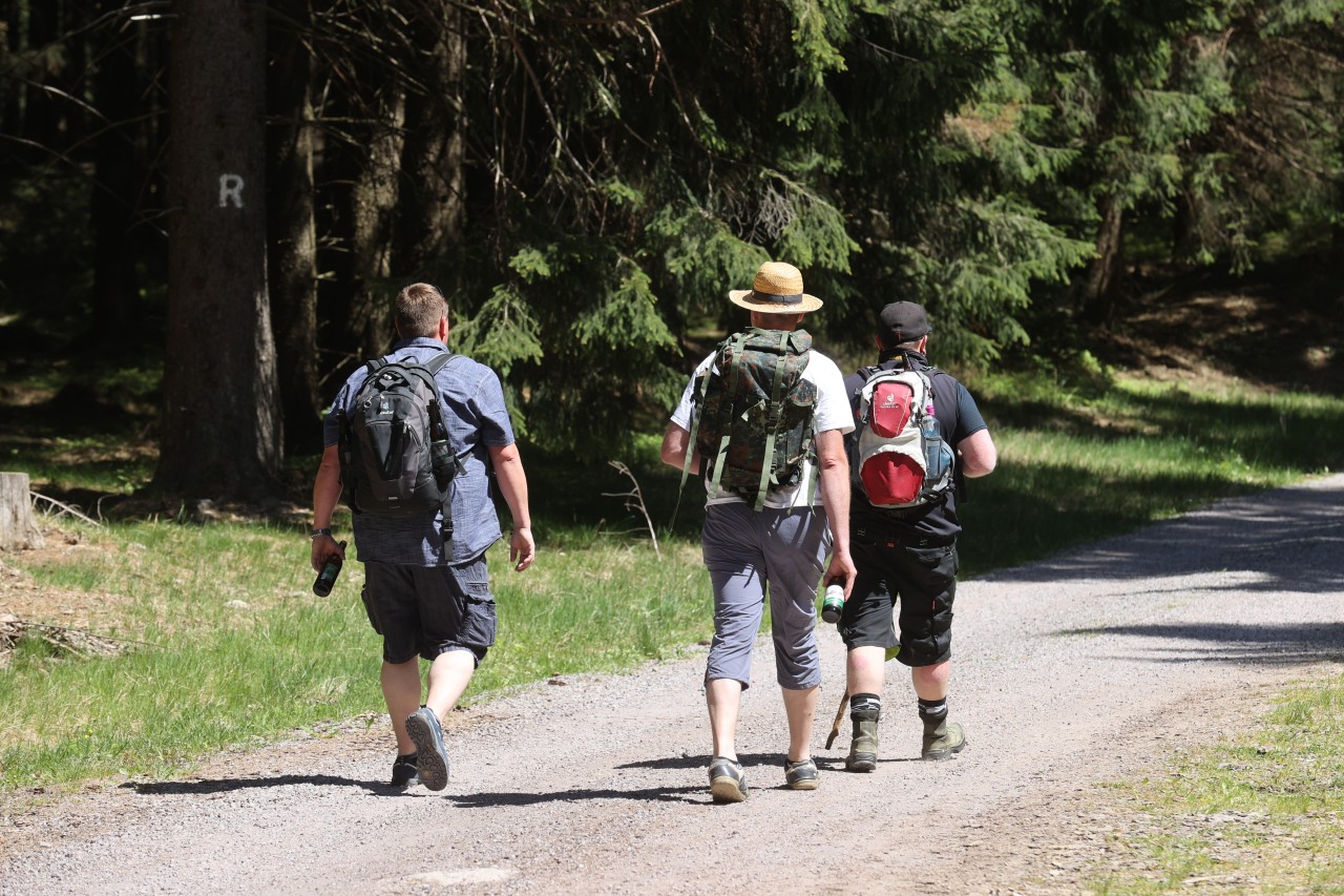 Wandern am Vatertag gehört eigentlich immer dazu. (Archivbild)