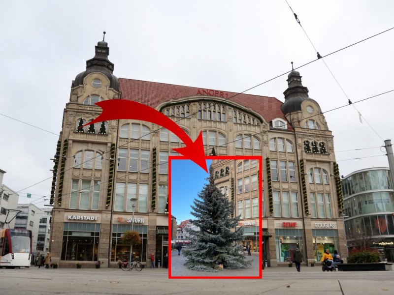 Weihacntsbaum Erfurt am Anger1 unverpixelt.jpg