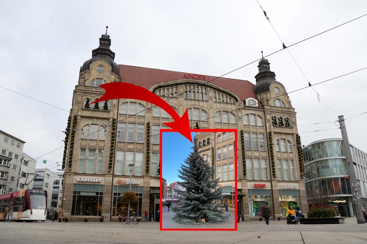 Weihacntsbaum Erfurt am Anger1 unverpixelt.jpg