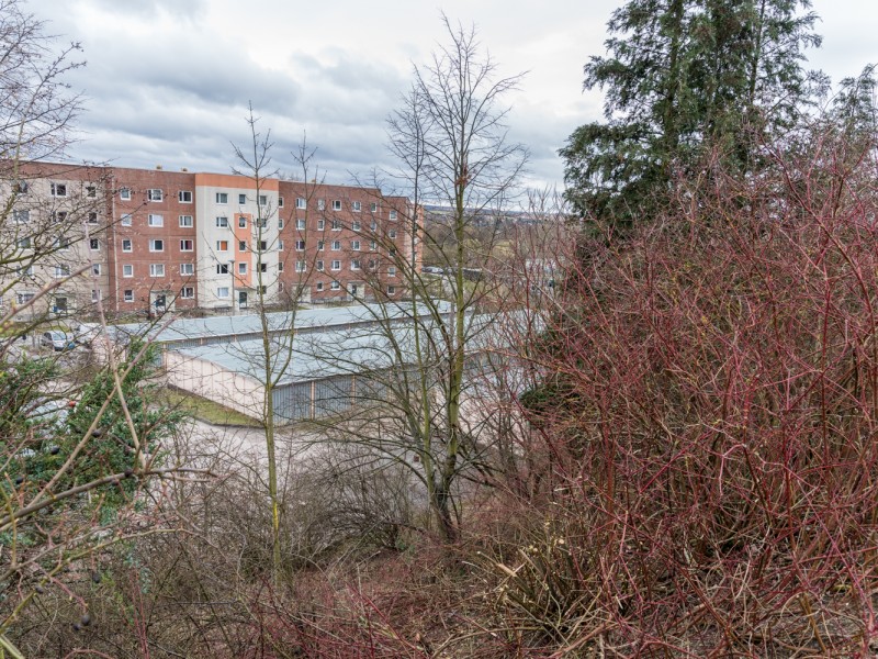 Die Tatwaffe wurde bisher noch nicht gefunden. Foto: Stefan Eberhardt