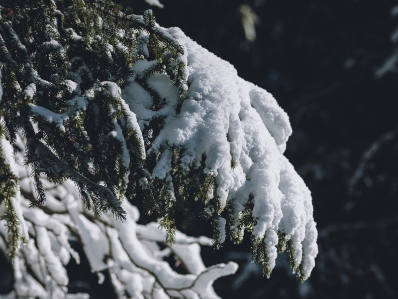 Wetter-Thüringen-Schnee