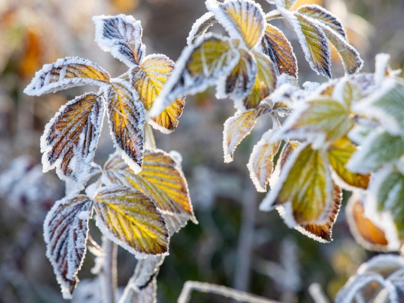 Wetter in Thüringen