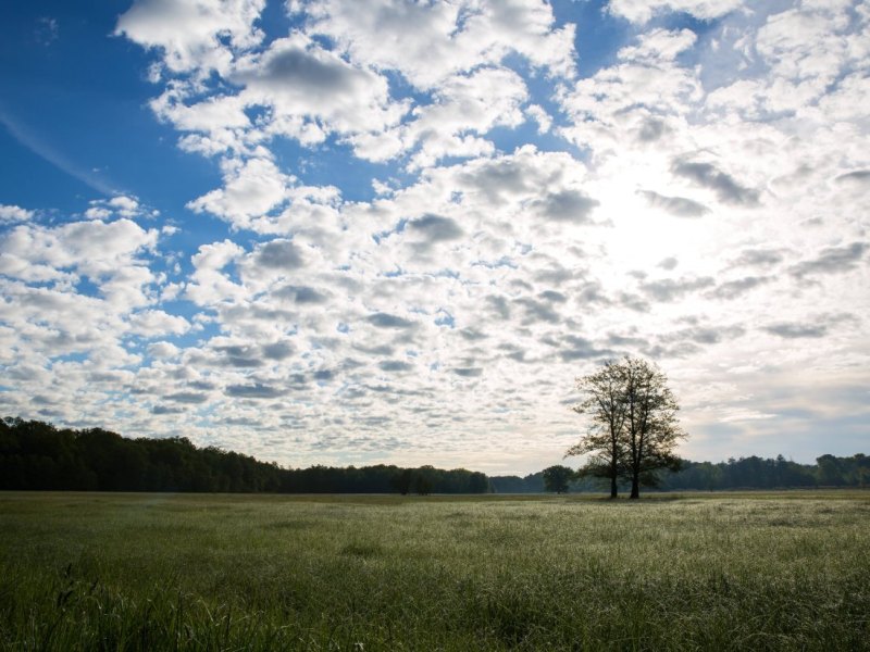 Wetter in Thüringen Sommer warm 20 Grad wie wird das wetter Erfurt