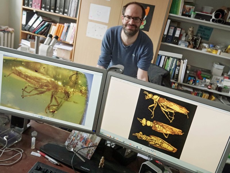Wipfler_Benjamin_Alien_Insekt.jpg