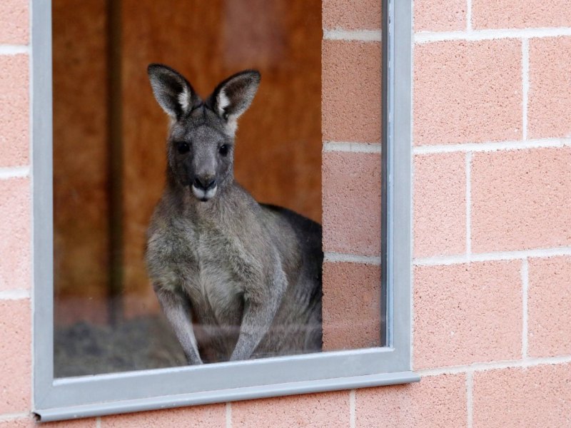 Zoo Erfurt