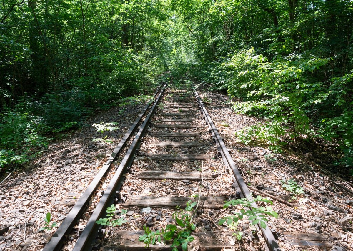 bahn thüringen werrabahn höllentalbahn