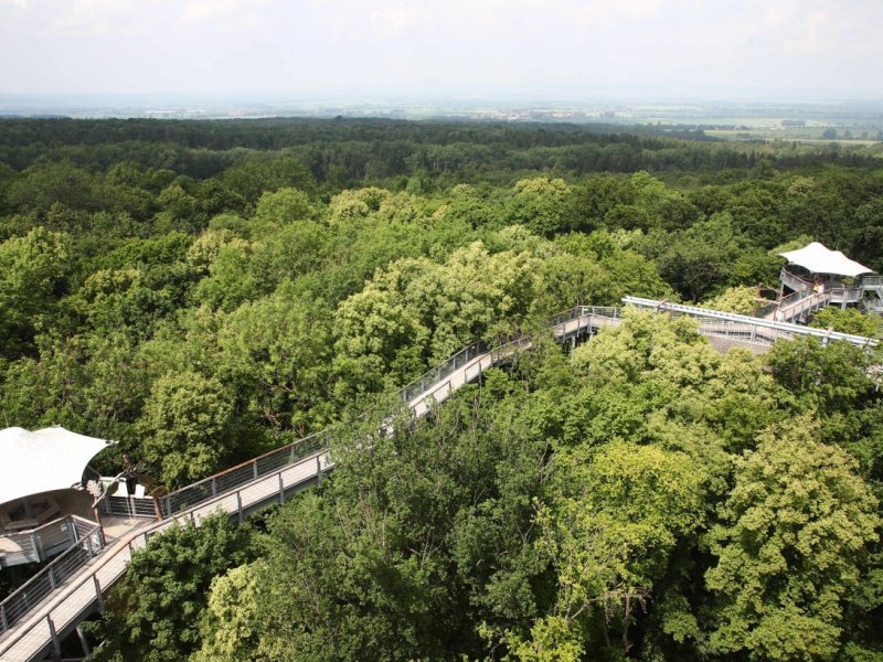 baumkronenpfad-nationalpark-hainich