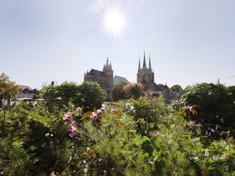 domplatz erfurt