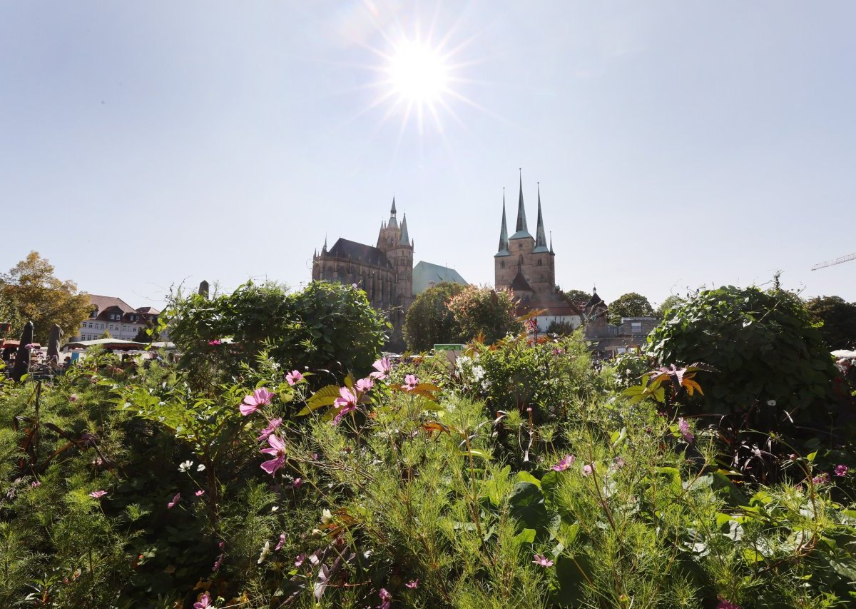 domplatz erfurt