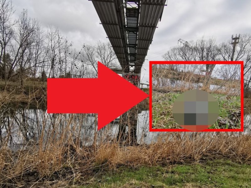 erfurt brücke.jpg