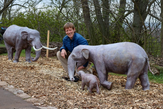 Designer Thomas Lindner präsentiert die niedlichen Elefanten im Zoo Erfurt – und beweist mit seiner eigenen Körpergröße, wie klein die historischen Tiere waren. 