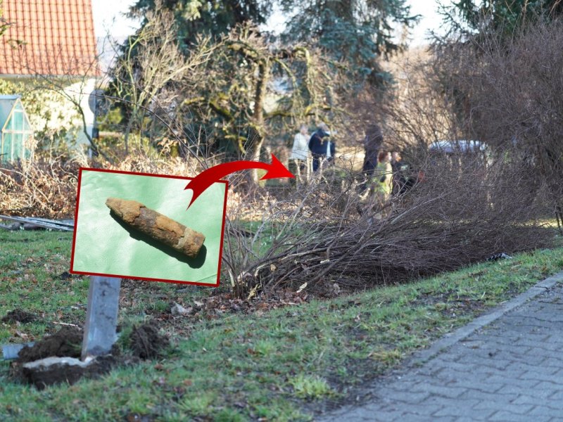 erfurt gebüsch granate.jpg