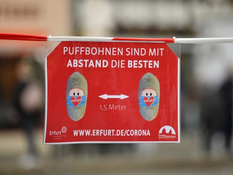 erfurt puffbohne.jpg