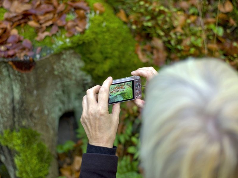 frau fotografiert wald steigerwald erfurt