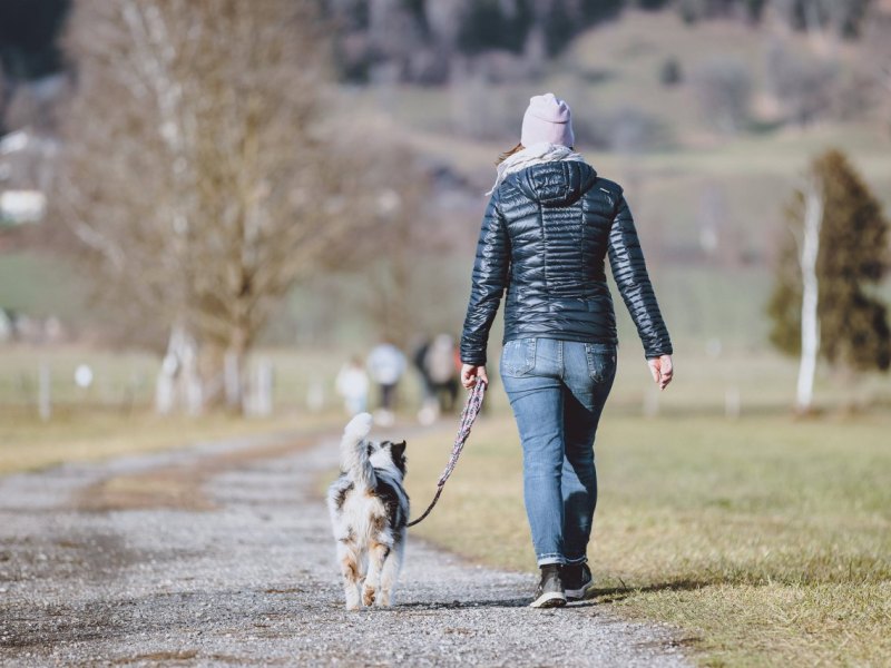 hund thüringen.jpg