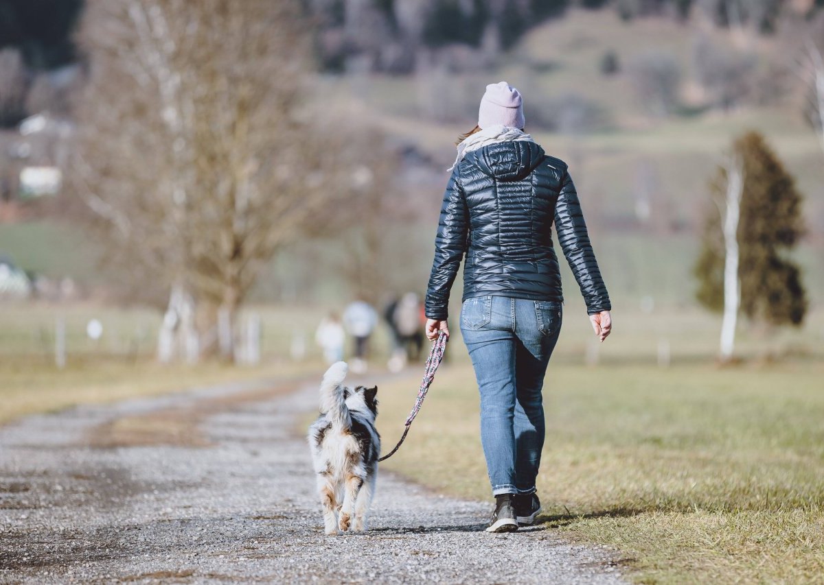 hund thüringen.jpg