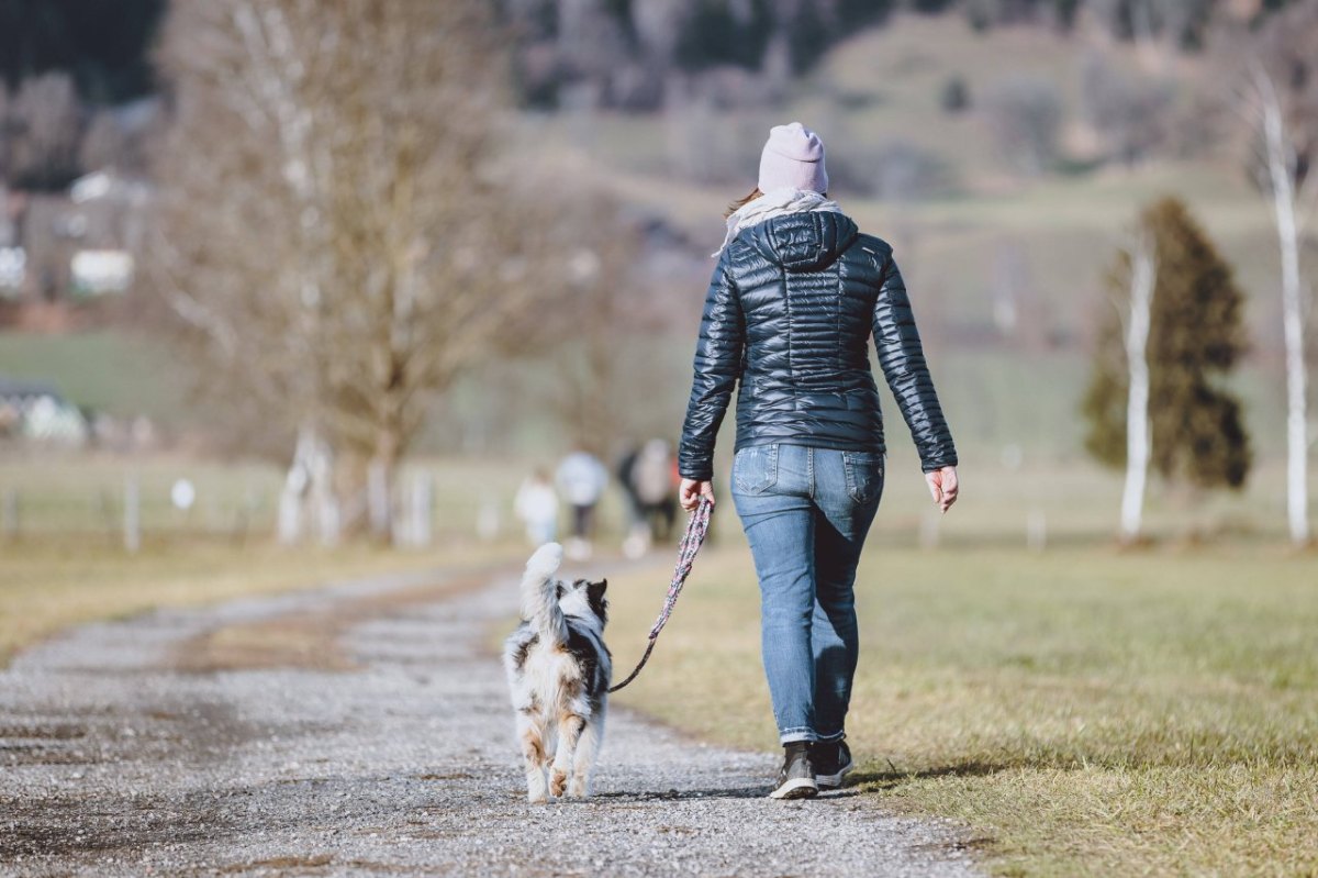 hund thüringen.jpg