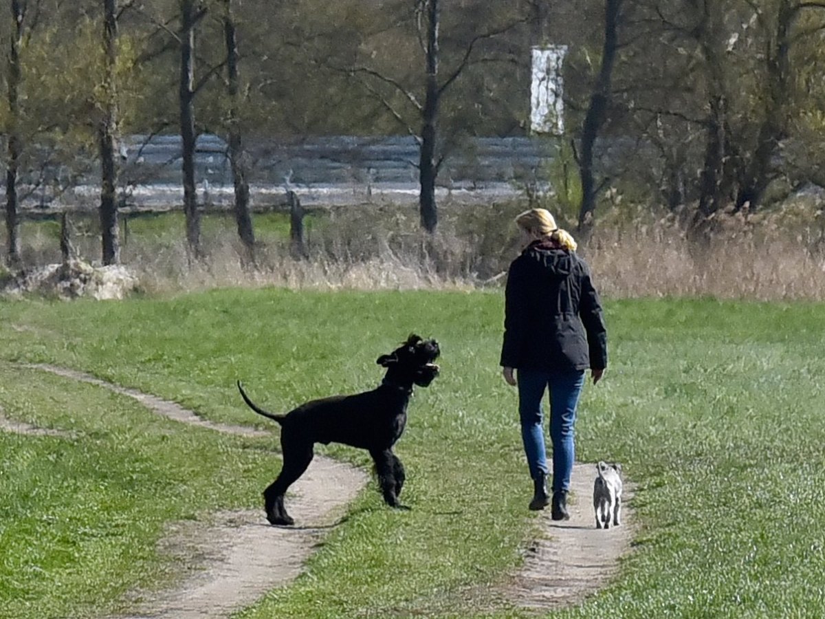 hund thüringen frau.jpg