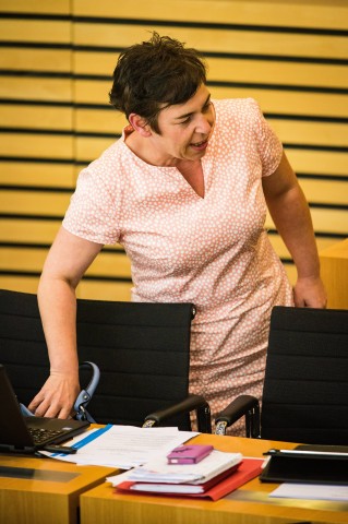 Anja Müller (Die Linke)