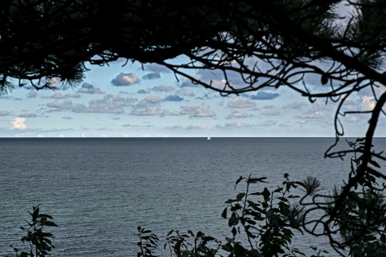 Die Insel Rügen an der Ostsee gilt als beliebtes Urlaubsziel.