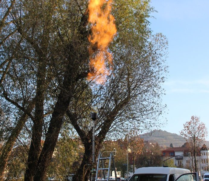 jena flamme Stadtwerke Jena paradies