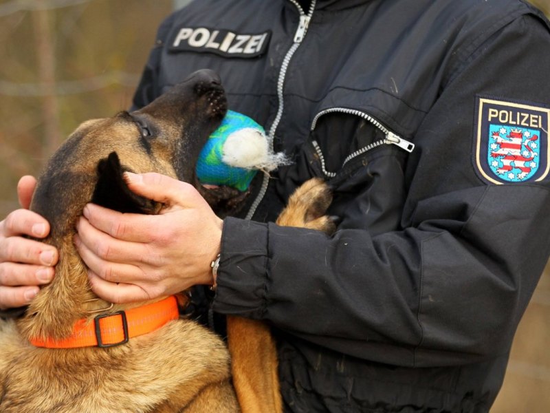 leipzig hund diensthund.jpg