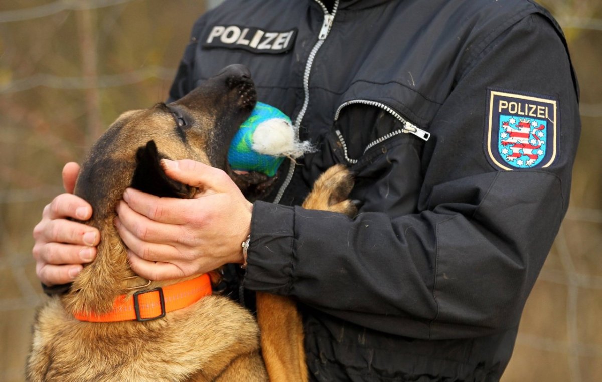 leipzig hund diensthund.jpg