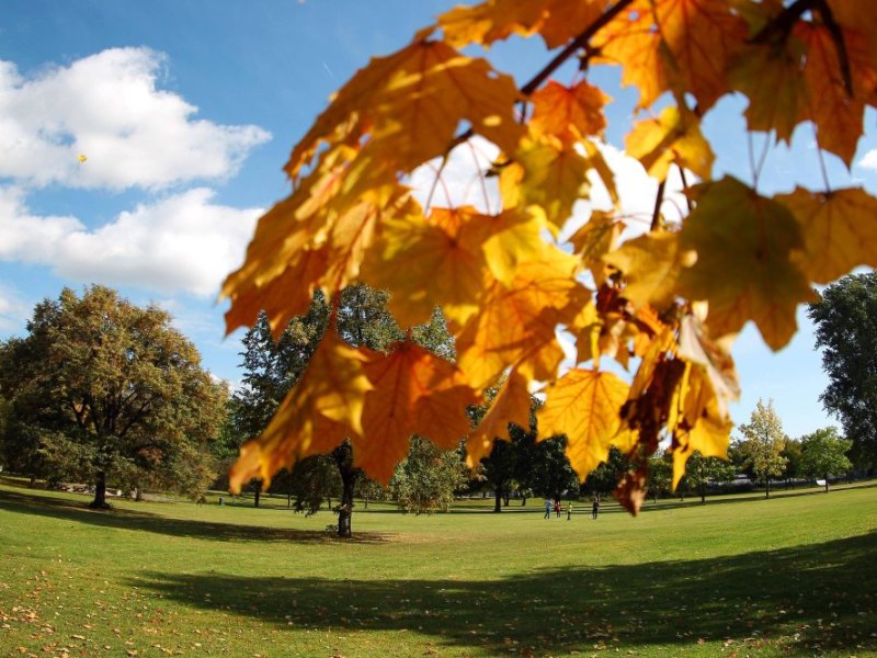nordpark-erfurt