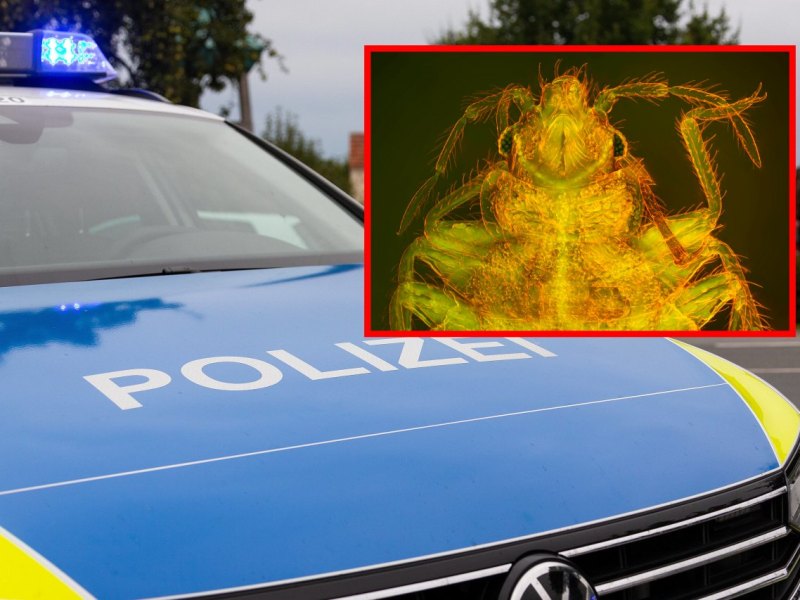 polizeiwanze.jpg