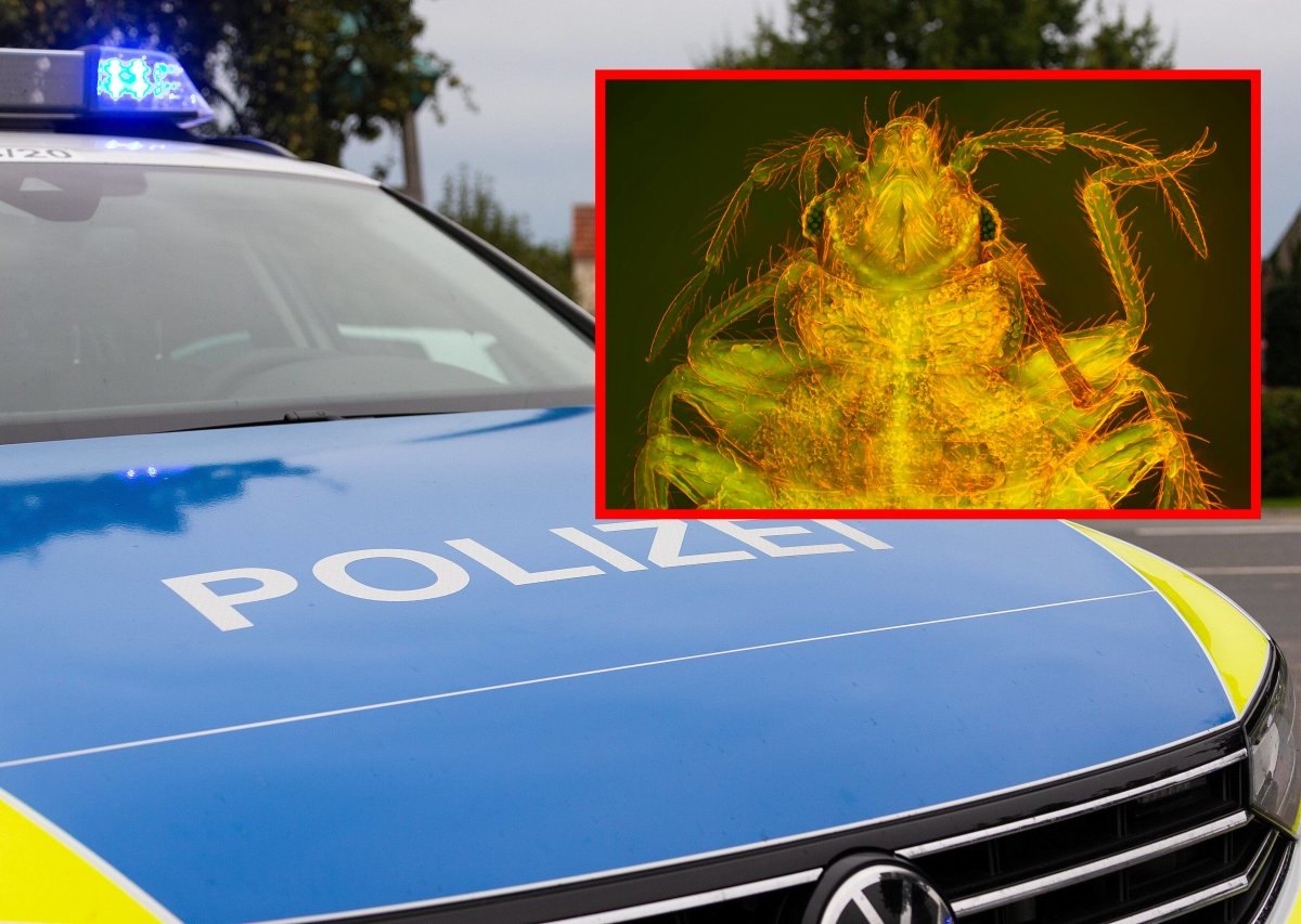 polizeiwanze.jpg