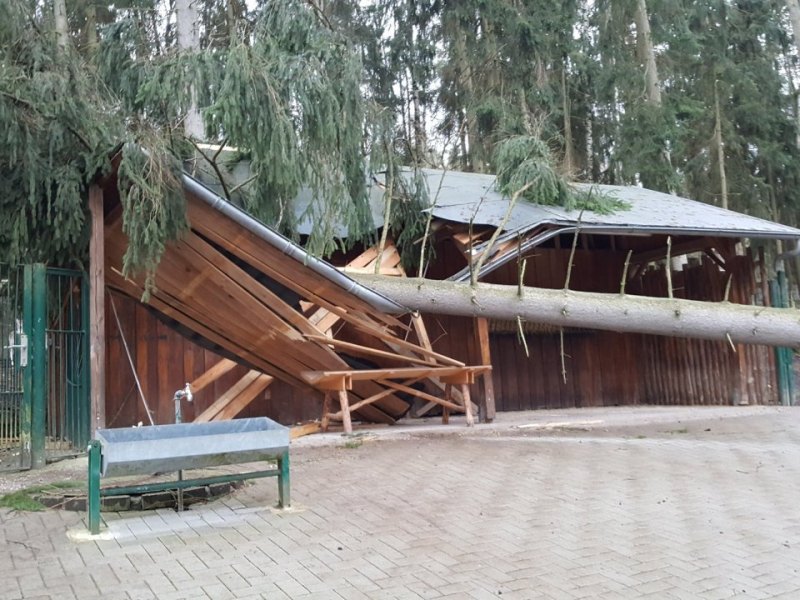sturm-tierpark-gera.jpg