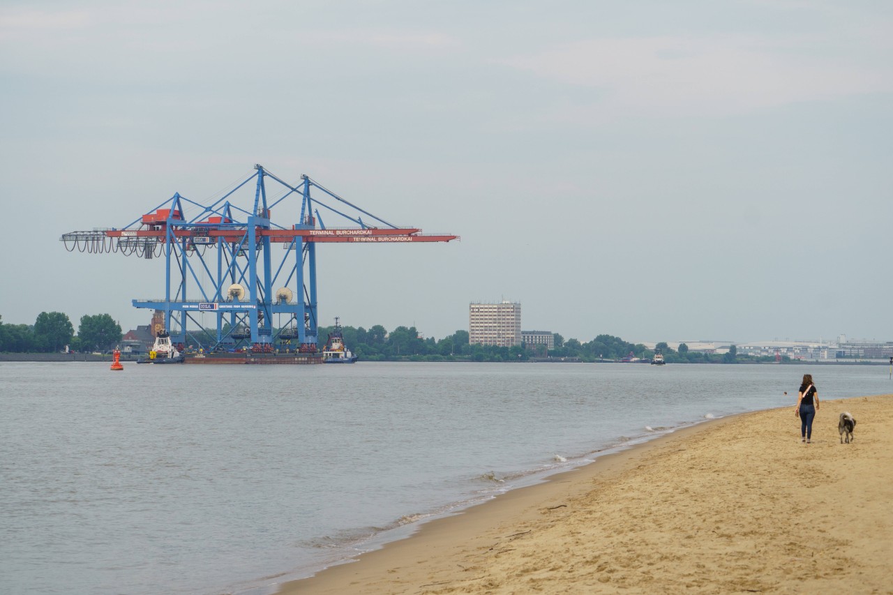 Altenburg in Thüringen: Über die Elbe soll es Richtung Nordsee weitergehen. (Symbolbild)