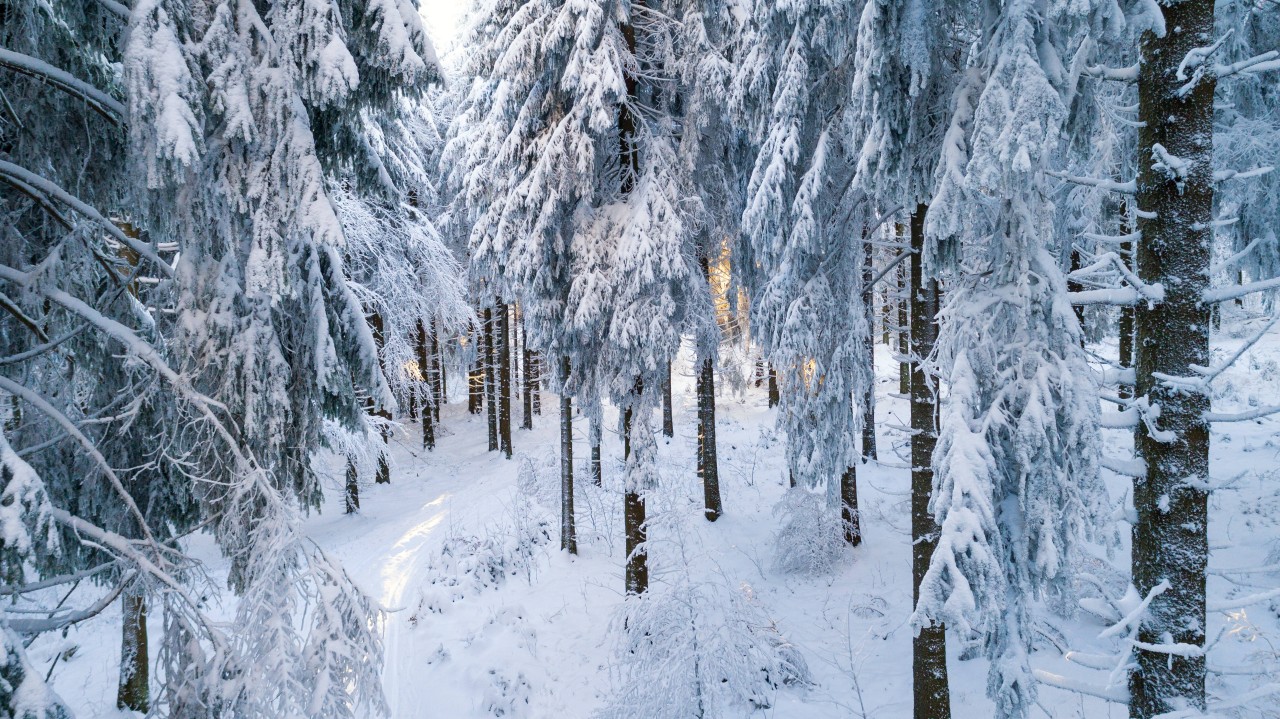 Im Thüringer Wald liegt massenweise Schnee! Mancherorts sogar bis zu 80 Zentimeter. (Archivbild)