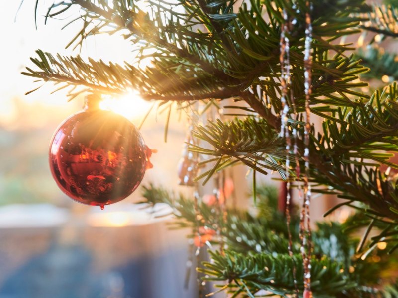 weihnachtsbaum.jpg