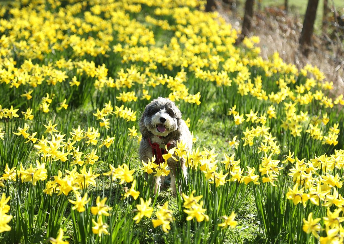 wetter thüringen frühling.jpg