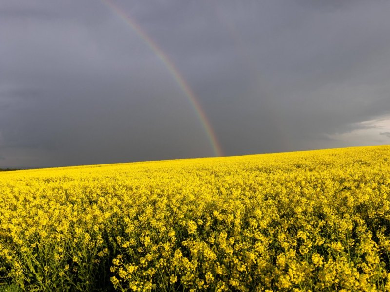 wetter thüringen pfingsten.jpg