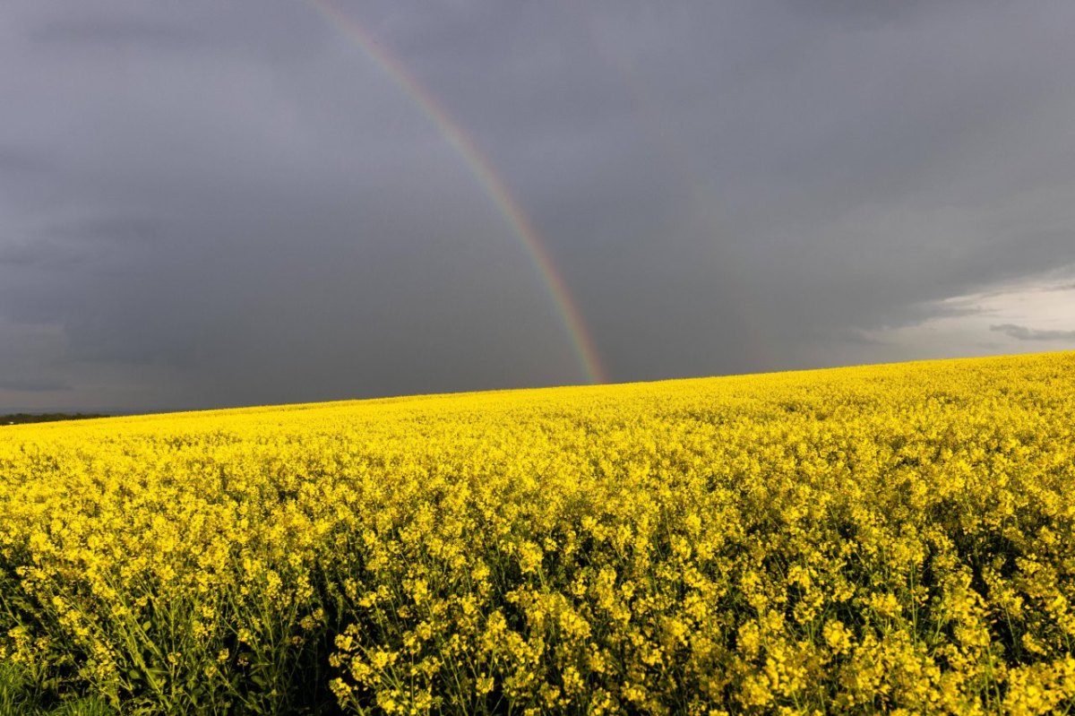 wetter thüringen pfingsten.jpg