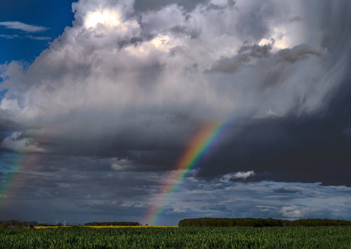 wetterthüringen.jpg