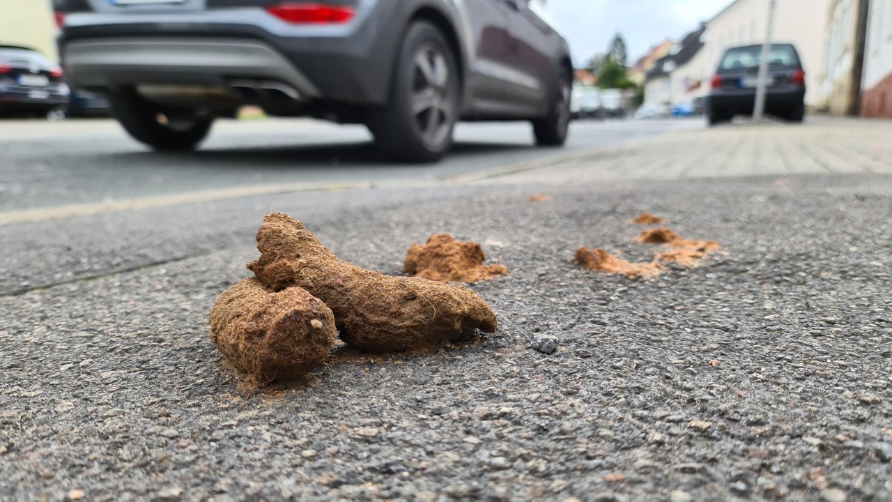 Einfach beschissen! Das Auto einer Frau aus Jena wurde komplett mit Hotkot beschmiert. (Symbolbild)