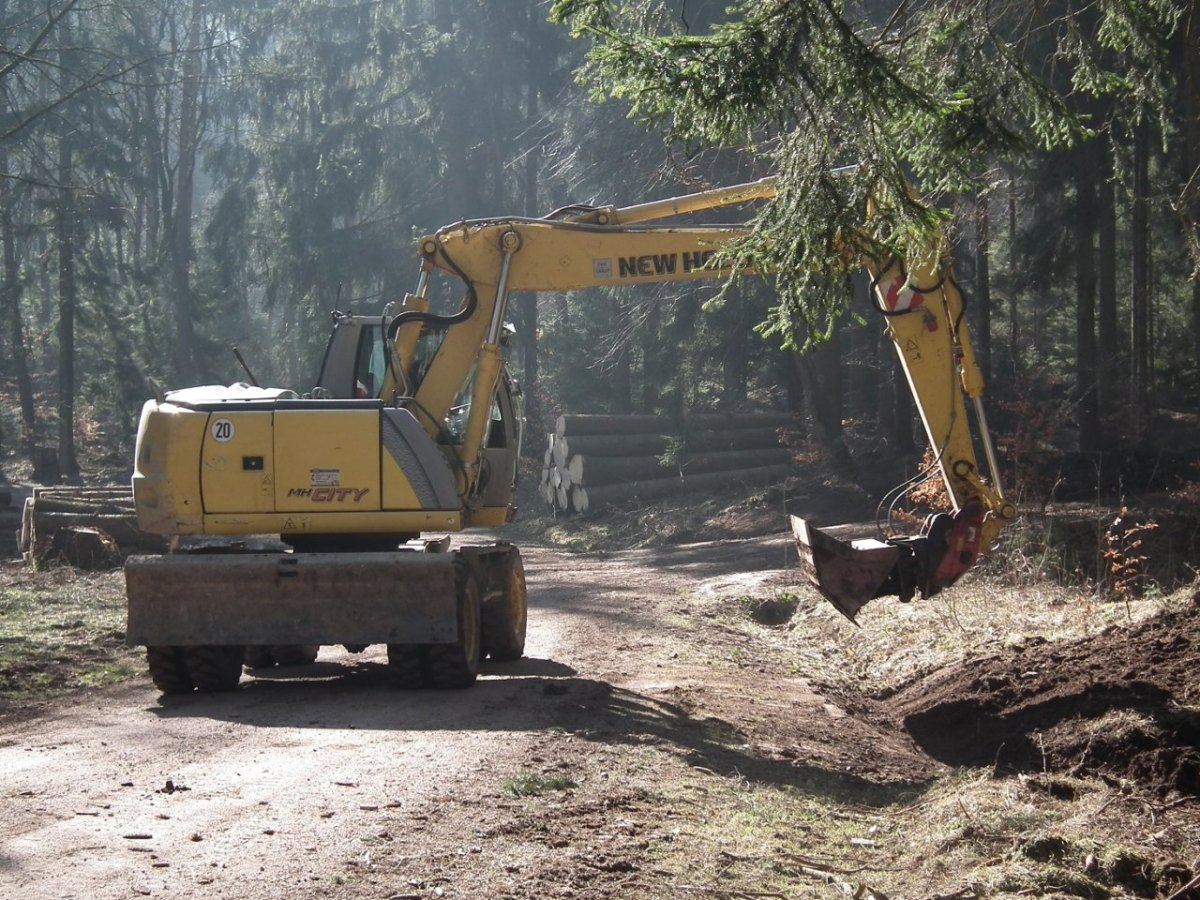 Thüringer Wald Sanierung.jpg