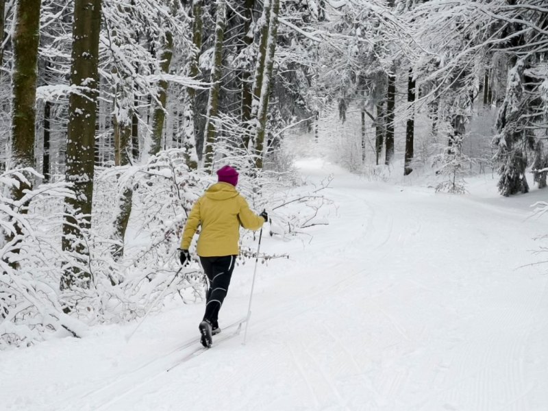 Thüringer Wald schnee winter